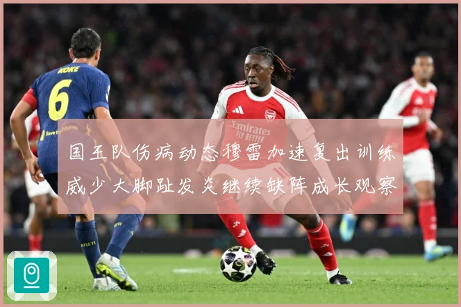 国王队伤病动态穆雷加速复出训练威少大脚趾发炎继续缺阵成长观察：最新赛事动态与深度分析